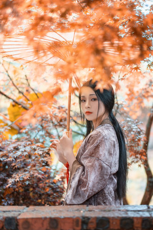 苏苏的公交车日记TXT